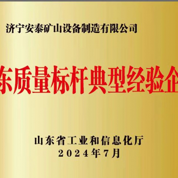 山東質(zhì)量標桿典型經(jīng)驗企業(yè)